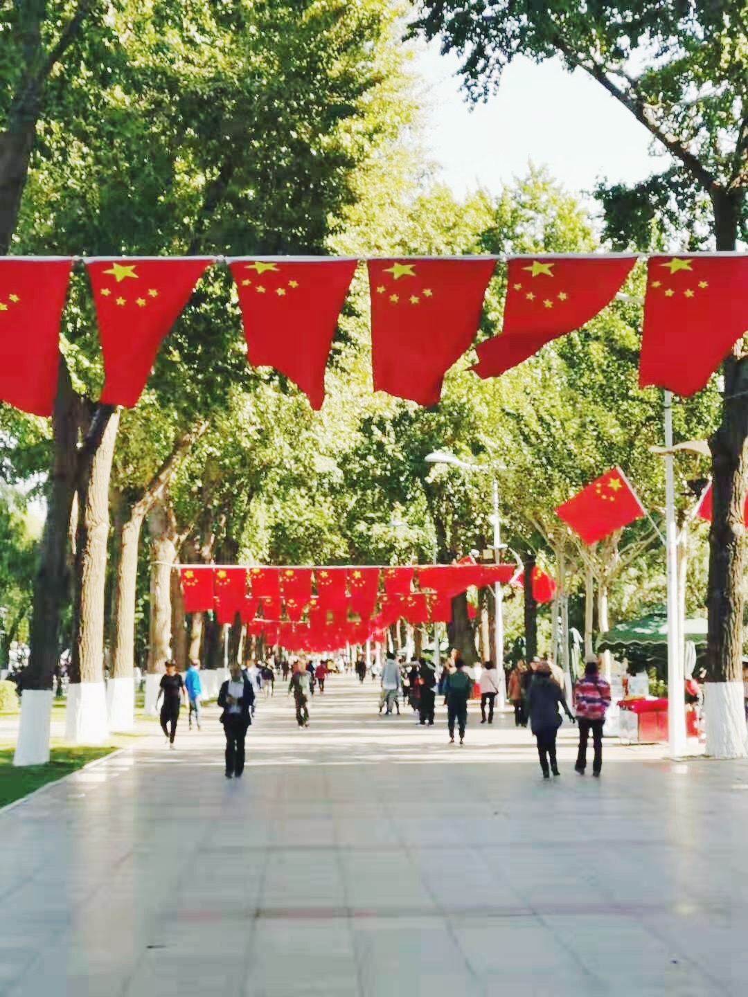新中国成立七十周年系列活动之三征文选登（1）：我爱你——五星红旗