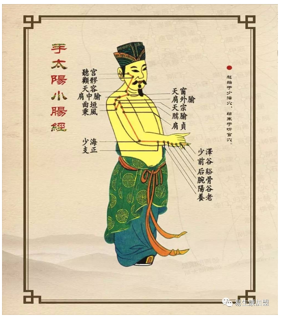 经络学说:小肠经 经络学说:小肠经