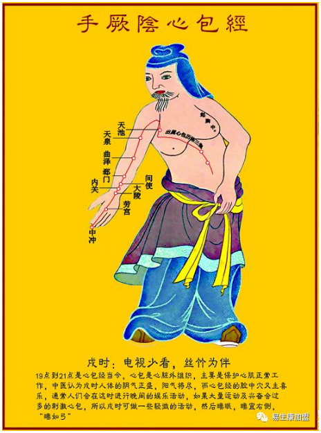 经络学说:心包经 经络学说:心包经