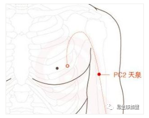 经络学说:心包经 经络学说:心包经