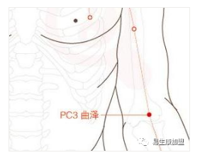 经络学说:心包经 经络学说:心包经