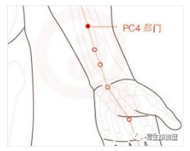 经络学说:心包经 经络学说:心包经