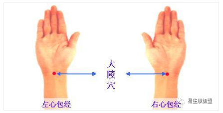 经络学说:心包经 经络学说:心包经