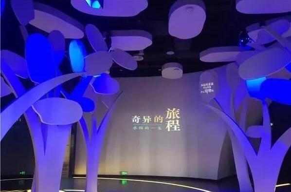 第一个水稻博物馆-袁隆平水稻博物馆开馆了 第一个水稻博物馆-袁隆平水稻博物馆开馆了