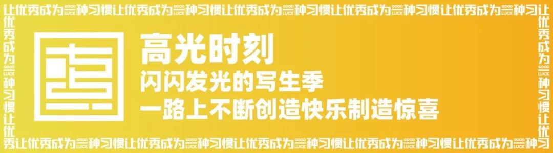 2019七点写生展 ▏一场不动声色的演出 2019七点写生展 ▏一场不动声色的演出