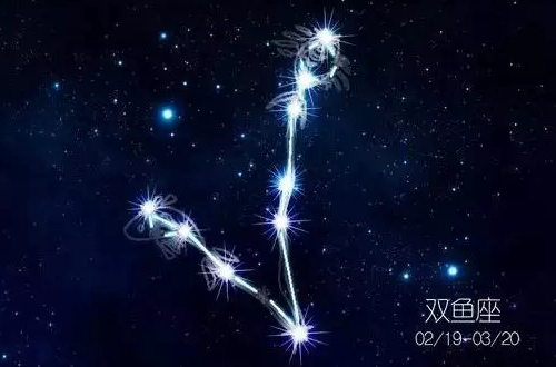 双鱼座 双鱼座