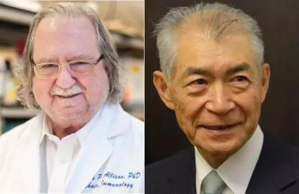 暗藏玄机,Cell | 蛋白质组学揭示黑色素瘤响应免疫治疗的线粒体依赖性 暗藏玄机,Cell | 蛋白质组学揭示黑色素瘤响应免疫治疗的线粒体依赖性