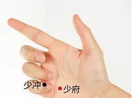 经络学说:心经 经络学说:心经