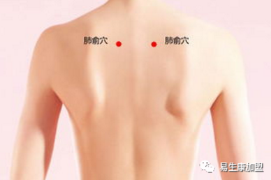 经络学说:膀胱经 经络学说:膀胱经