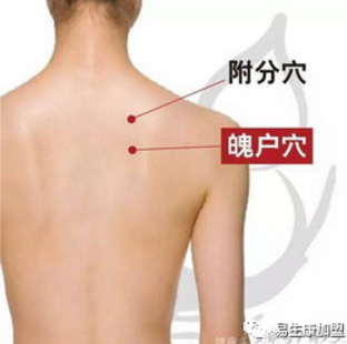 经络学说:膀胱经 经络学说:膀胱经