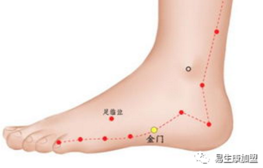 经络学说:膀胱经 经络学说:膀胱经