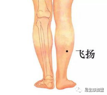 经络学说:膀胱经 经络学说:膀胱经