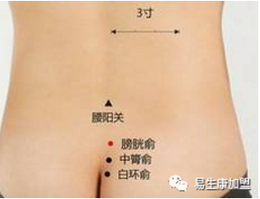 经络学说:膀胱经 经络学说:膀胱经