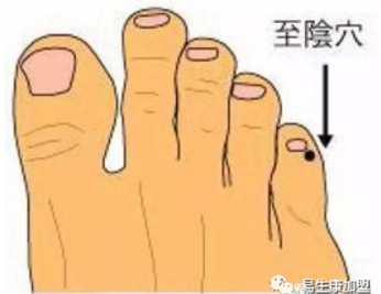 经络学说:膀胱经 经络学说:膀胱经