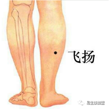 经络学说:膀胱经 经络学说:膀胱经