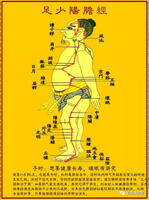 经络学说:胆经 经络学说:胆经