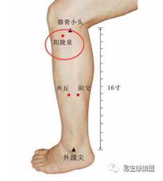 经络学说:胆经 经络学说:胆经