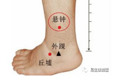 经络学说:胆经 经络学说:胆经