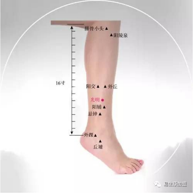 经络学说:胆经 经络学说:胆经
