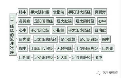 经络养生文化的内涵-十二经脉 经络养生文化的内涵-十二经脉