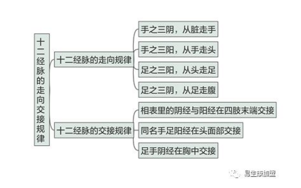 经络养生文化的内涵-十二经脉 经络养生文化的内涵-十二经脉