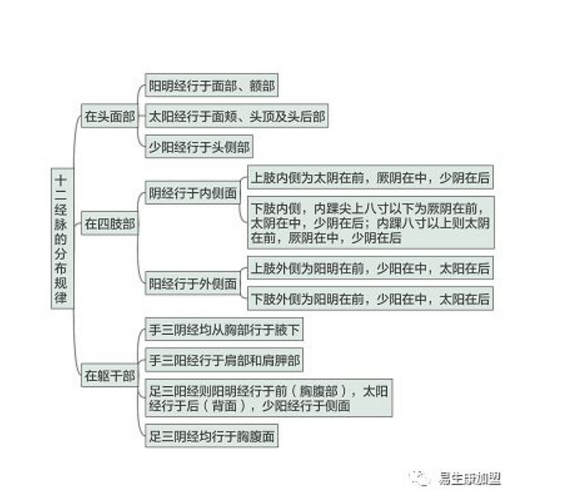 经络养生文化的内涵-十二经脉 经络养生文化的内涵-十二经脉