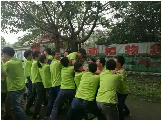 500字初中学生素质拓展训练心得体会 500字初中学生素质拓展训练心得体会