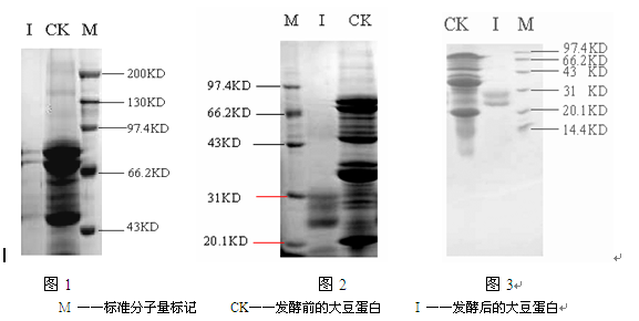 三途.png 三途.png