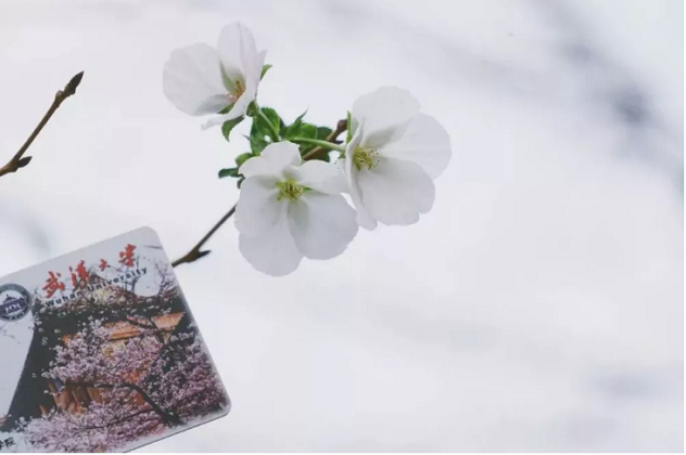 十月,来武汉,不只是赶上军运会,你还有这些福利 十月,来武汉,不只是赶上军运会,你还有这些福利