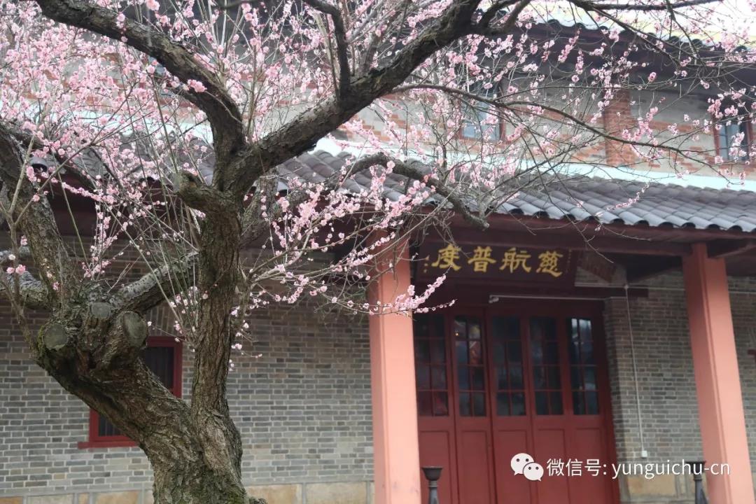 云居山真如禅寺传授居士五戒 菩萨戒通启 法会资讯 云居山真如禅寺