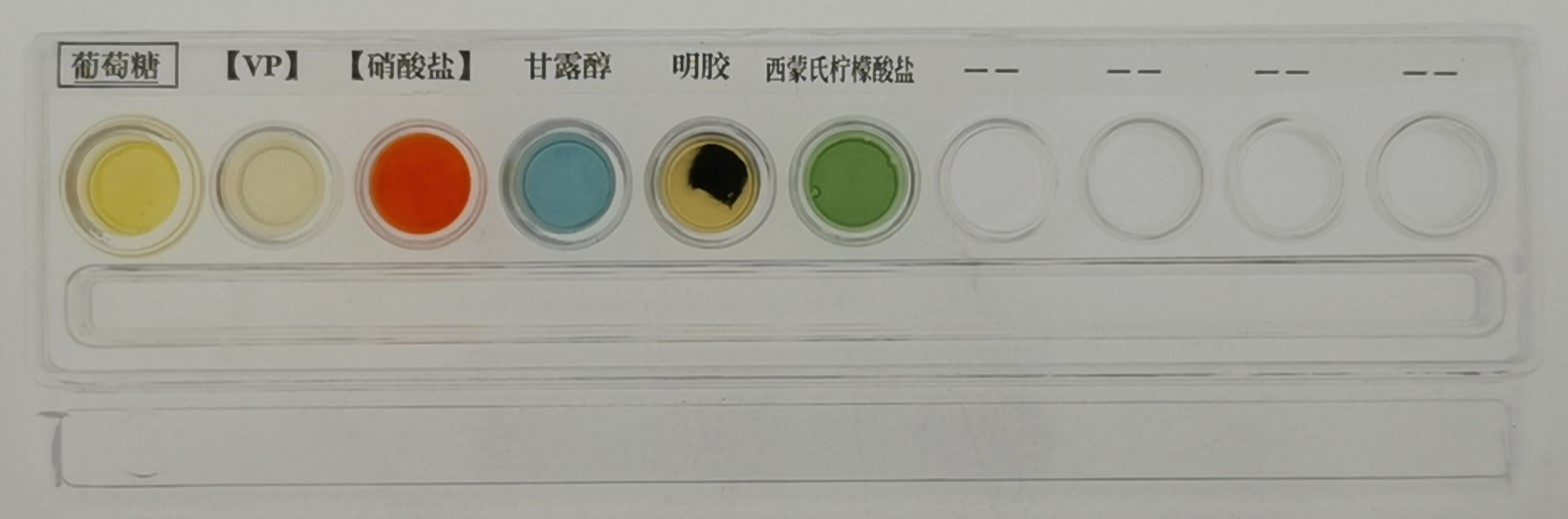 食品檢測(cè)中常見的微生物鑒定方法