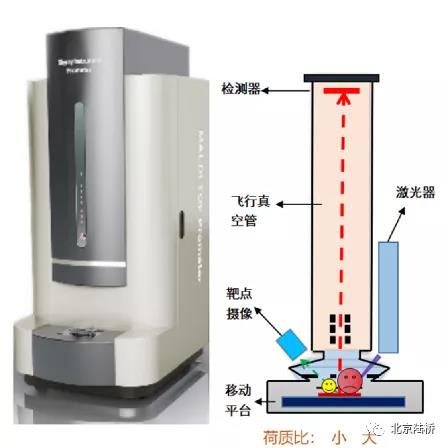 食品檢測中常見的微生物鑒定方法