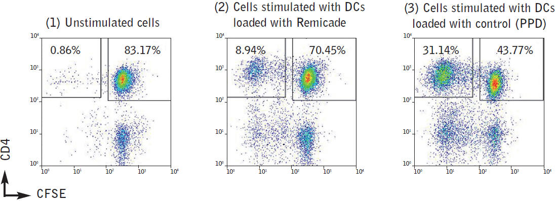 比较配制药物的T细胞抗原性的黄金标准——ProScern™CFSE DC-T细胞测定法