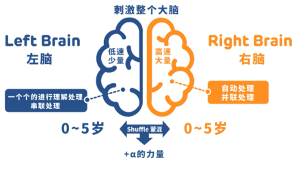 郑州维贝尼早教非凡大脑课全面上线！