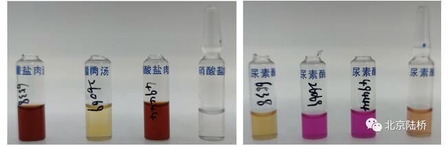 伪中间型葡萄球菌的生化鉴定