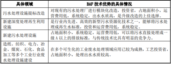 2021年中国曝气生物滤池（BAF）行业市场竞争战略研究及投资前景分析预测   