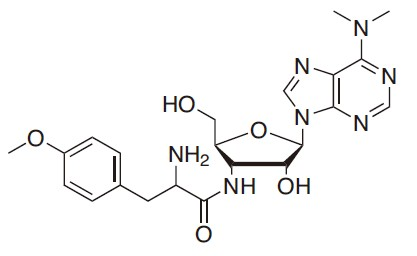 Puromycin（嘌呤霉素）——pac基因筛选抗生素
