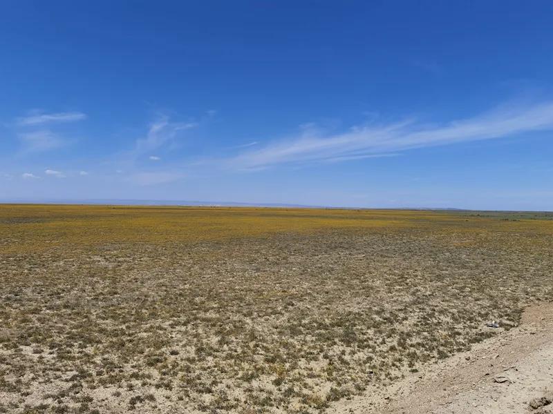 中国首条沙漠探险旅游高速公路预计今年底通车