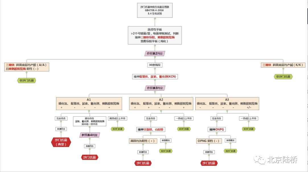 沙門(mén)氏菌屬傳統(tǒng)生化鑒定要點(diǎn)解析