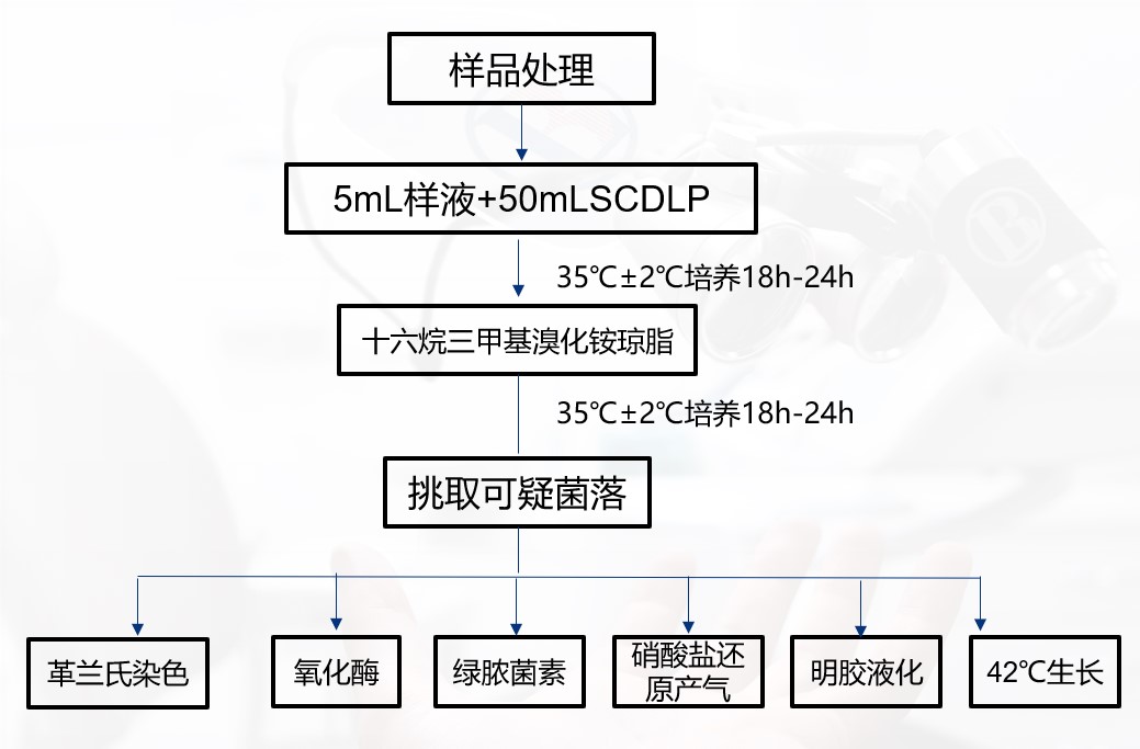 一次性衛(wèi)生用品之綠膿桿菌檢測(cè)