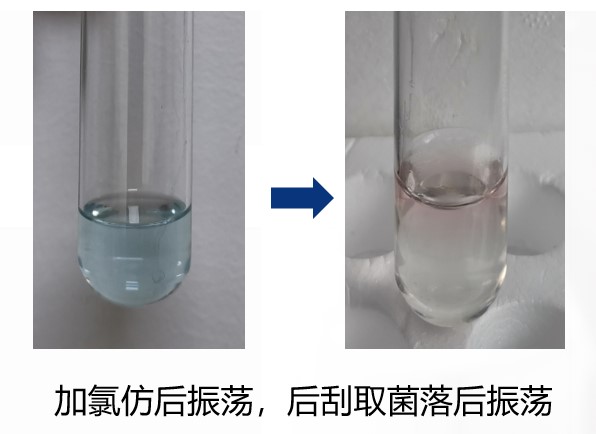 一次性衛(wèi)生用品之綠膿桿菌檢測(cè)