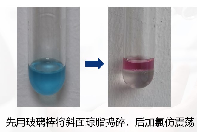 一次性衛(wèi)生用品之綠膿桿菌檢測