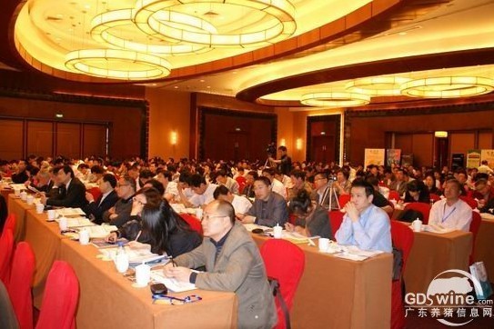 教槽料研发1.jpg