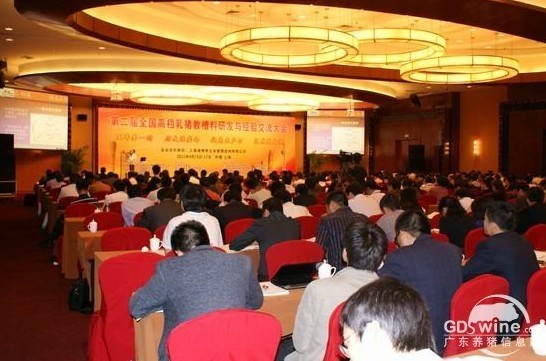 教槽料研发2.jpg