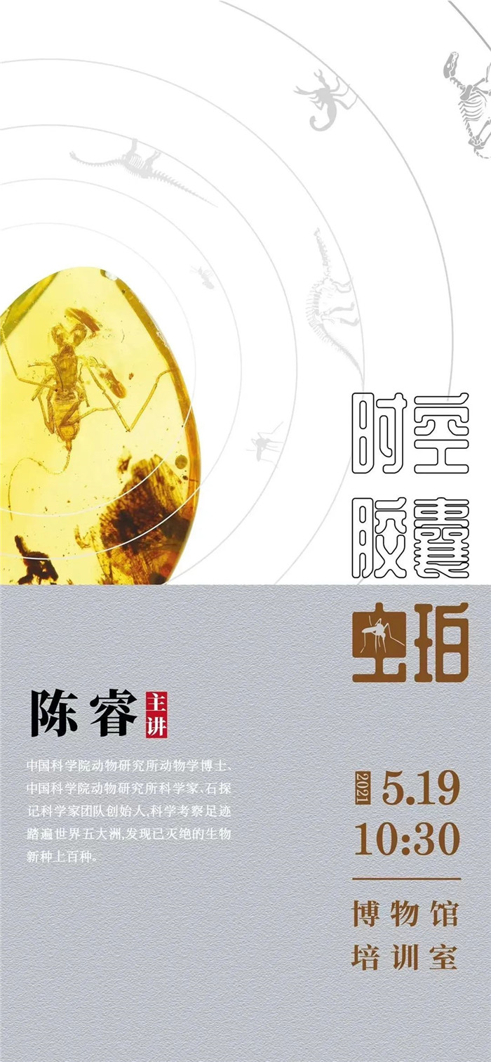 《大师技艺 匠心传承》琥珀行业大师雕刻作品联名展开幕 《大师技艺 匠心传承》琥珀行业大师雕刻作品联名展开幕