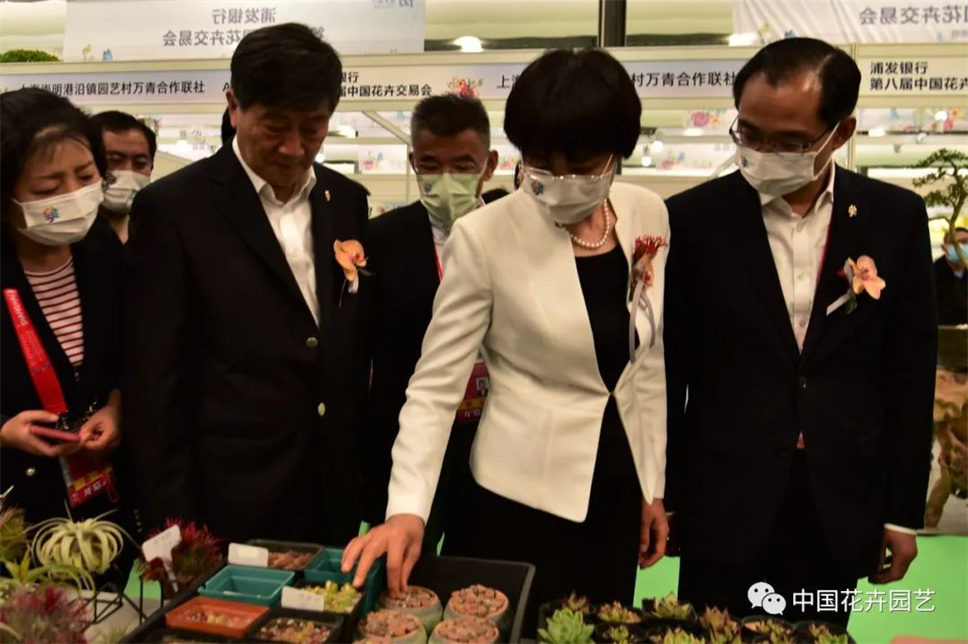 第十届花博会 | 第八届中国花卉交易会同期开幕