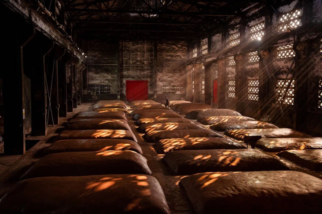 National Cellar (Guojiao) - The Fermentation Pit