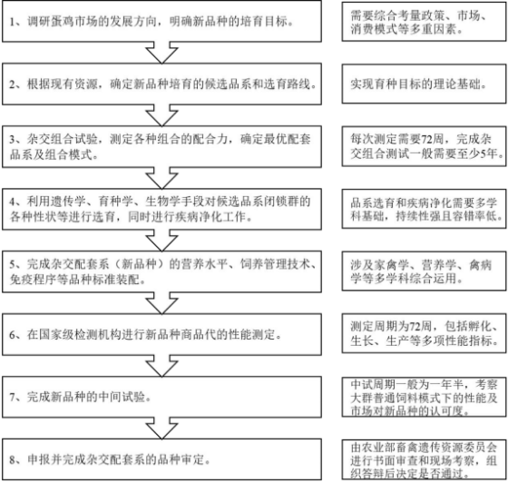 2021年中国蛋鸡育种行业市场发展潜力研究预测及重点企业竞争战略咨询