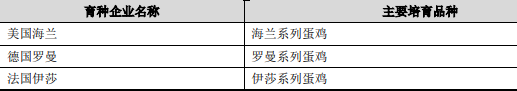 2021年中国蛋鸡育种行业市场发展潜力研究预测及重点企业竞争战略咨询