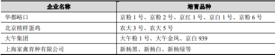 2021年中国蛋鸡育种行业市场发展潜力研究预测及重点企业竞争战略咨询